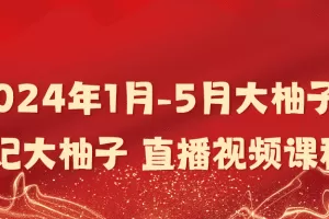 「大柚子笔记」2024年1月-5月大柚子笔记大柚子 直播视频课程
