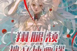 翔腿颓独立插画课第3期2023【画质还行有大部分素材】