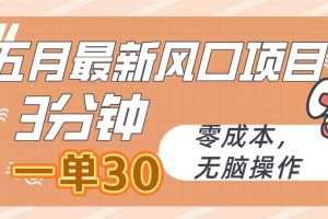 五月最新风口项目，3分钟一单30，零成本，无脑操作