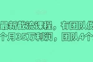 2024最新截流课程，有团队做截流一个月35万利润，团队4个人