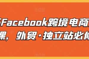 脸书Facebook跨境电商入门课，外贸·独立站必修
