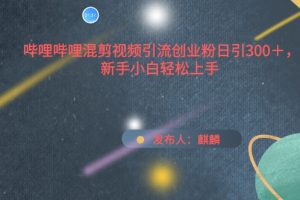 哔哩哔哩混剪视频引流创业粉日引300+，新手小白轻松上手