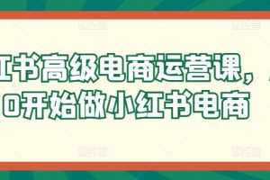 小红书高级电商运营课，从0开始做小红书电商