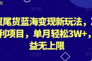 外贸尾货蓝海变现新玩法，冷门暴利项目，单月轻松3W+，收益无上限