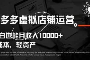 拼多多虚拟店铺运营小白也能月收入10000+