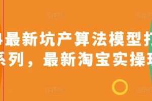 2024最新坑产算法模型打款玩法系列，最新淘宝实操玩法