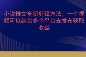 小说推文全新剪辑方法，一个视频可以结合多个平台去发布获取