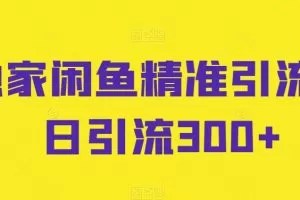 独家闲鱼精准引流，日引流300+