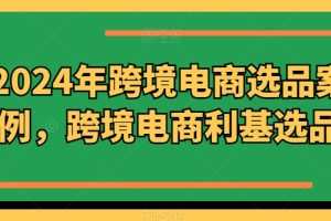 2024年跨境电商选品案例，跨境电商利基选品