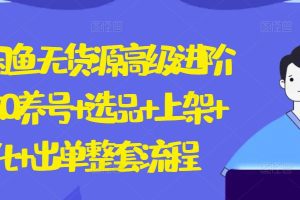 2024闲鱼无货源高级进阶卖货5.0.养号+选品+上架+优化+出单整套流程