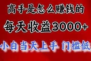 高手是怎么赚钱的，一天收益3000+ 这是穷人逆风翻盘的一个项目，非常…