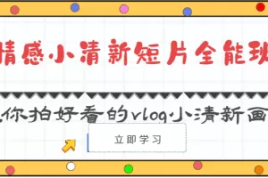 情感小清新短片全能班-教你拍好看的vlog小清新画面（30节课）