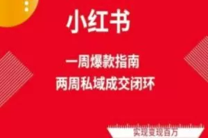 爆款小红书免费流量体系课程(两周变现)，小红书电商教程