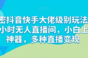 解密抖音快手大佬级别玩法，24小时无人直播间，小白上手神器，多种直播变现