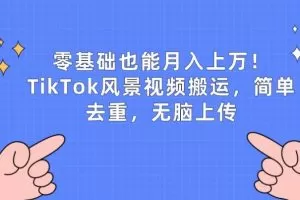 零基础也能月入上w，TikTok风景视频搬运，简单去重，无脑上传