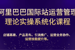 阿里巴巴国际站运营管理理论实操系统化课程：基建、发布、推广、协作、技能提升等