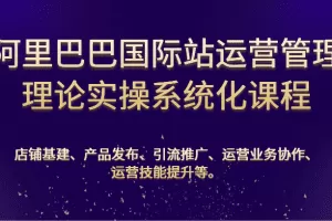 阿里巴巴国际站运营管理理论实操系统化课程：基建、发布、推广、协作、技能提升等