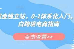 掘金独立站，0-1体系化入门，小白跨境电商指南