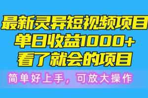 最新灵异短视频项目，单日收益1000+看了就会的项目，简单好上手可放大操作