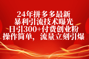 24年拼多多最新暴利引流技术曝光，日引300+付费创业粉，操作简单，流量…