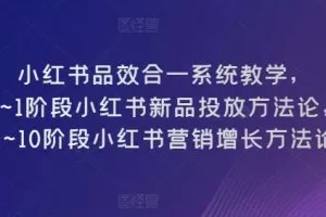 小红书品效合一系统教学，​0~1阶段小红书新品投放方法论，​1~10阶段小红书营销增长方法论