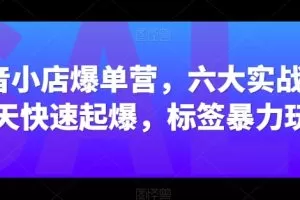 抖音小店爆单营，六大实战篇，7天快速起爆，标签暴力玩法