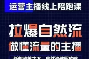 海外Tiktok短视频无脑搬运，一键去重轻松过原创，新手小白听话照做日入几张