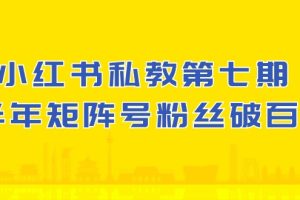 小红书私教第七期，小红书90天涨粉18w，1周涨粉破万 半年矩阵号粉丝破百万