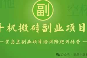 手机搬砖小副业项目训练营1.0，实测1小时收益50+，一部手机轻松日入100+