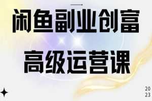闲鱼电商运营高级课程，一部手机学会闲鱼开店赚钱