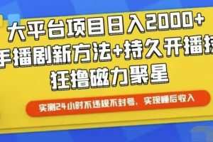 快手24小时无人直播，真正实现睡后收益