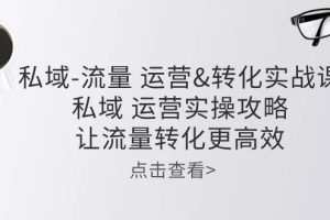 私域-流量 运营&转化实操课：私域 运营实操攻略 让流量转化更高效