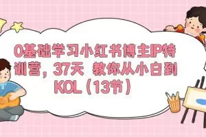 0基础学习小红书博主IP特训营【第5期】，37天教你从小白到KOL（13节）
