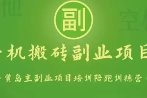 手机搬砖小副业项目训练营1.0，能用手机做的简单小副业