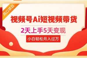 2天上手5天变现视频号Ai短视频带货0粉丝0基础小白轻松月入过万
