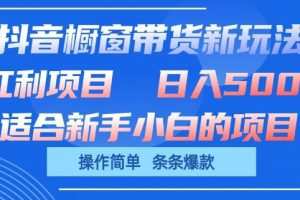 抖音橱窗带货新玩法，单日收益几张，操作简单，条条爆款