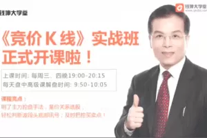 《竞价K线》实战班林新象