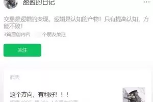 盈盈的笔记/盈盈的日记 短线交易系统课程