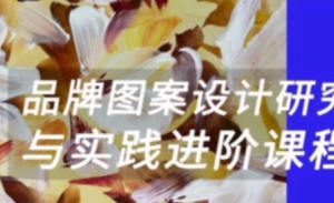 壹衿时尚2023暑期品牌图案设计研究与实践进阶【画质还可以只有视频】