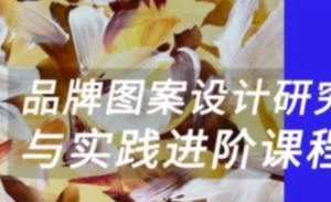 壹衿时尚2023暑期品牌图案设计研究与实践进阶【画质还可以只有视频】