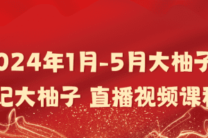 「大柚子笔记」2024年1月-5月大柚子笔记大柚子 直播视频课程