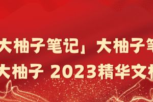 「大柚子笔记」大柚子笔记大柚子 2023精华文档