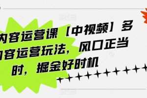 海外内容运营课【中视频】多种内容运营玩法，风口正当时，掘金好时机