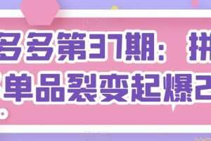 拼多多第37期：拼多多单品裂变起爆2.0