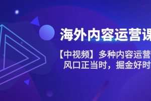 海外内容运营课【中视频】多种内容运营玩法 风口正当时 掘金好时机（101节）