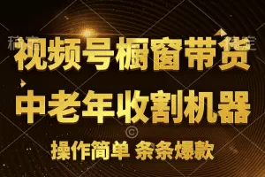 视频号最火爆赛道，橱窗带货，流量分成计划，条…