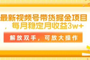 最新视频号带货掘金项目，每月稳定月收益3w+，解放双手，可放大操作