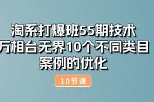 淘系打爆班55期技术：万相台无界10个不同类目案例的优化（10节）