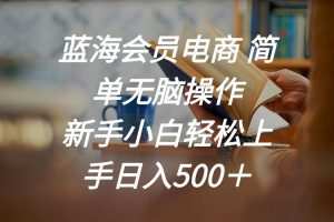 蓝海会员电商 简单无脑操作 新手小白轻松上手日入500＋