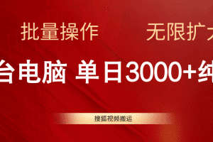 搜狐视频搬运，一台电脑单日3000+，批量操作，可无限扩大